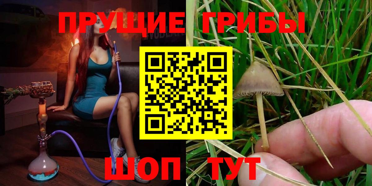 Псилоцибиновые грибы Magic Shrooms Новодвинск